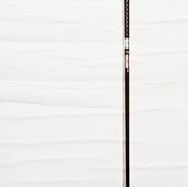 PARADYM Ai SMOKE MAX D  9  TENSEI 50S