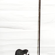 Progress BB4 SB01 with Across  Arch CA-01 25