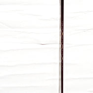 XXIO PRIME(2019)H5 SP1000 R