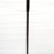 ODYSSEY PROTYPE BLACK #2 34inch